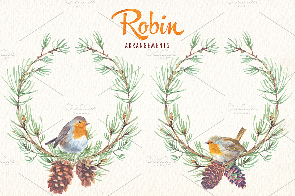 watercolor robin bird clipart, an Illustration by Art & Things (Photo 6 of 10)