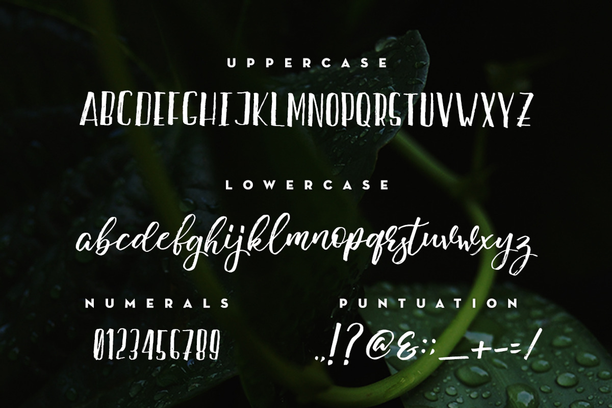 Hello Tayledic Handstylish Font Duo preview 5