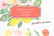 Citrus Watercolor Clipart, an Illustration by Emerald & Ivy Studios (Thumbnail 2 of 4)