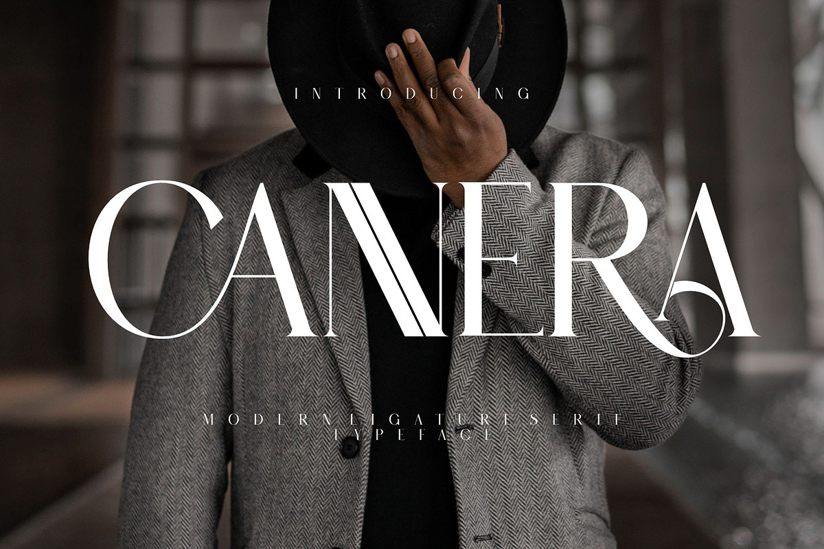 CANNERA Modern Ligature Serif, a Serif Font by Alfinart (Photo 1 of 9)