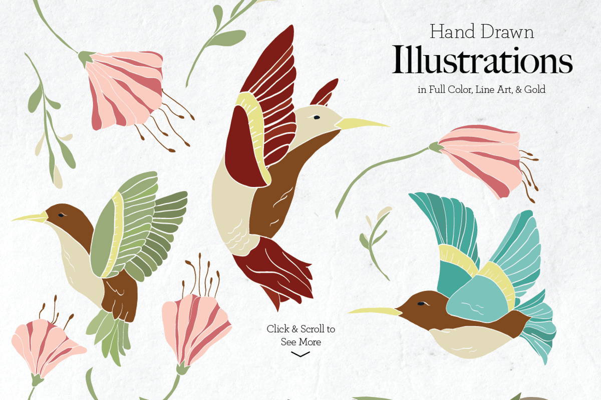 Fancy Hummingbird Collection, a Texture Illustration by DesignsByMissM (Photo 2 of 4)