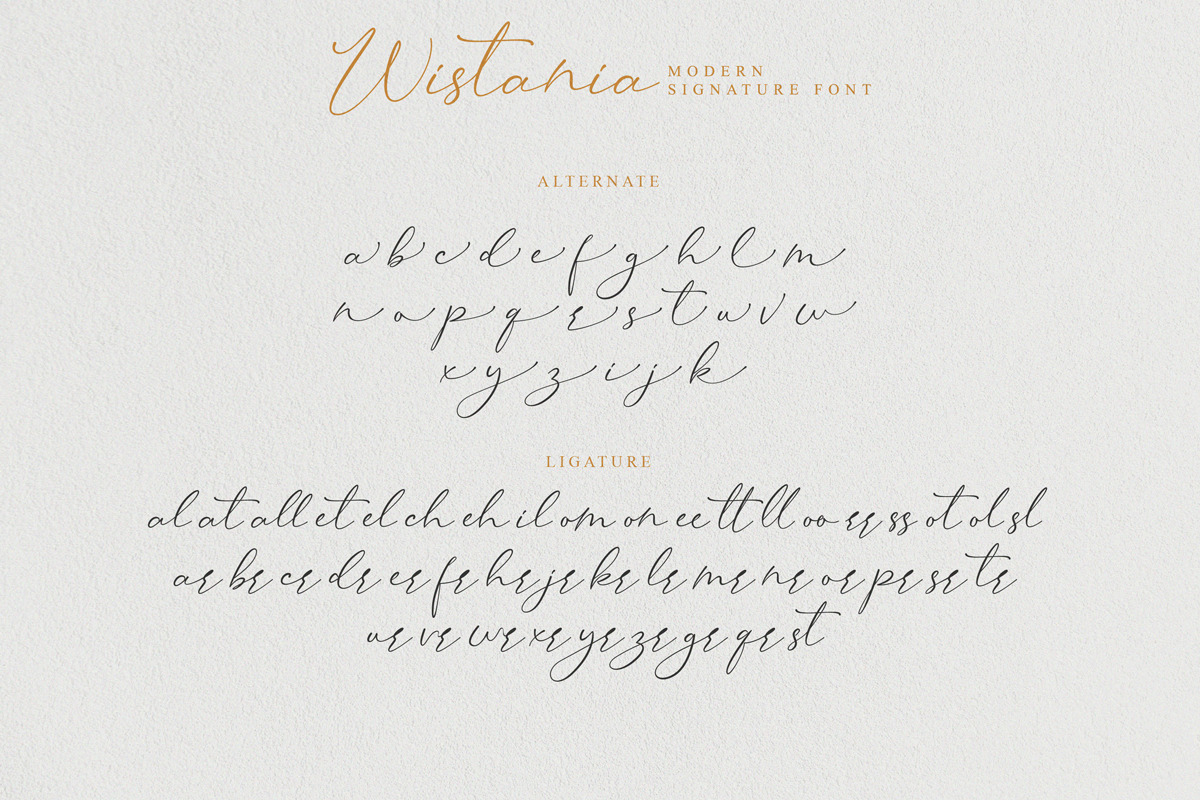 Wistania - Modern Calligraphy, a Script Font by Koplexs Studio (Photo 10 of 12)