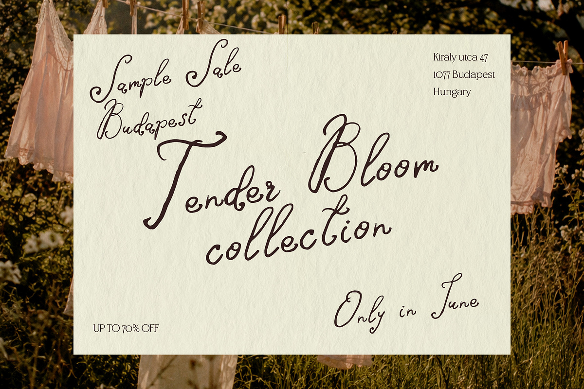 Cherry Wish Romantic Font, a Handwritten Font by BilberryCreates (Photo 3 of 11)