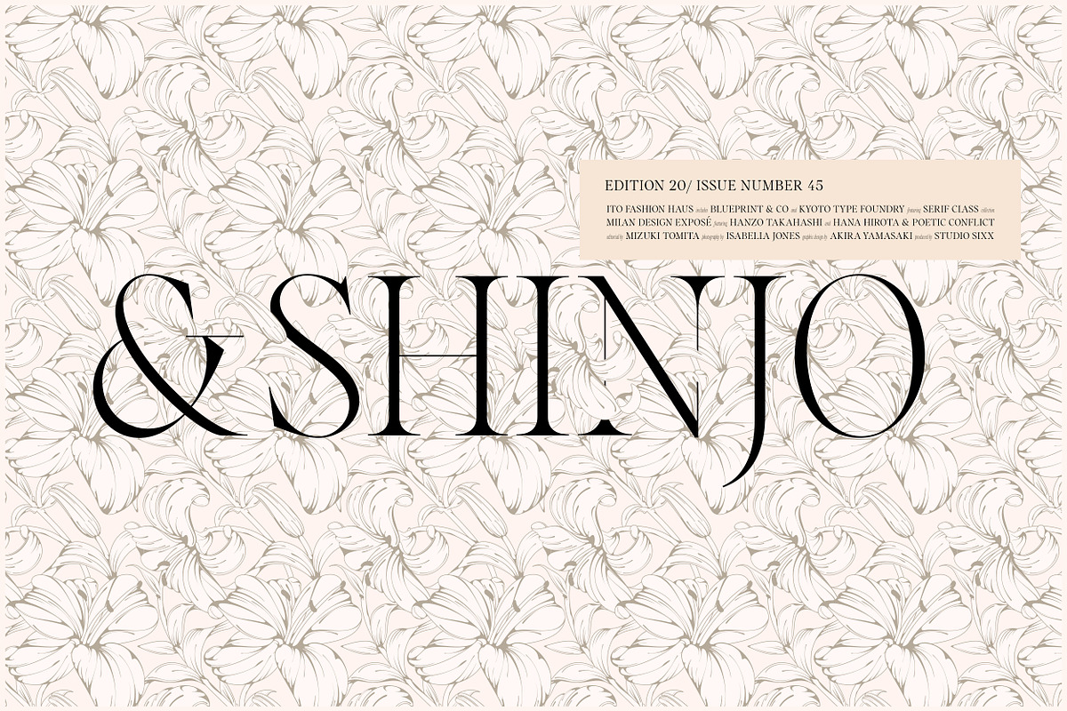 Voxas | 54 Font Serif, a Serif Font by Anthony James (Photo 12 of 22)