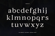 The Romantic Editorial | 18 Fonts, a Serif Font by Skinny Type (Thumbnail 12 of 13)