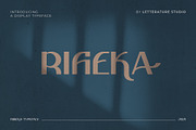 Rifieka // Modern Display Typeface, a Sans Serif Font by Letterature Std. (Thumbnail 1 of 10)