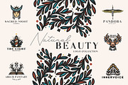 Natural Beauty Logo Collection, a Branding & Logo Template by Michael Rayback Design (Thumbnail 1 of 14)