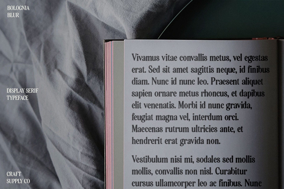 Bolognia Blur, a Serif Font by Craft Supply Co. (Photo 6 of 8)