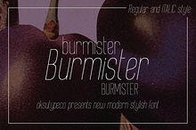 Burmister