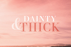 Dainty & Thick