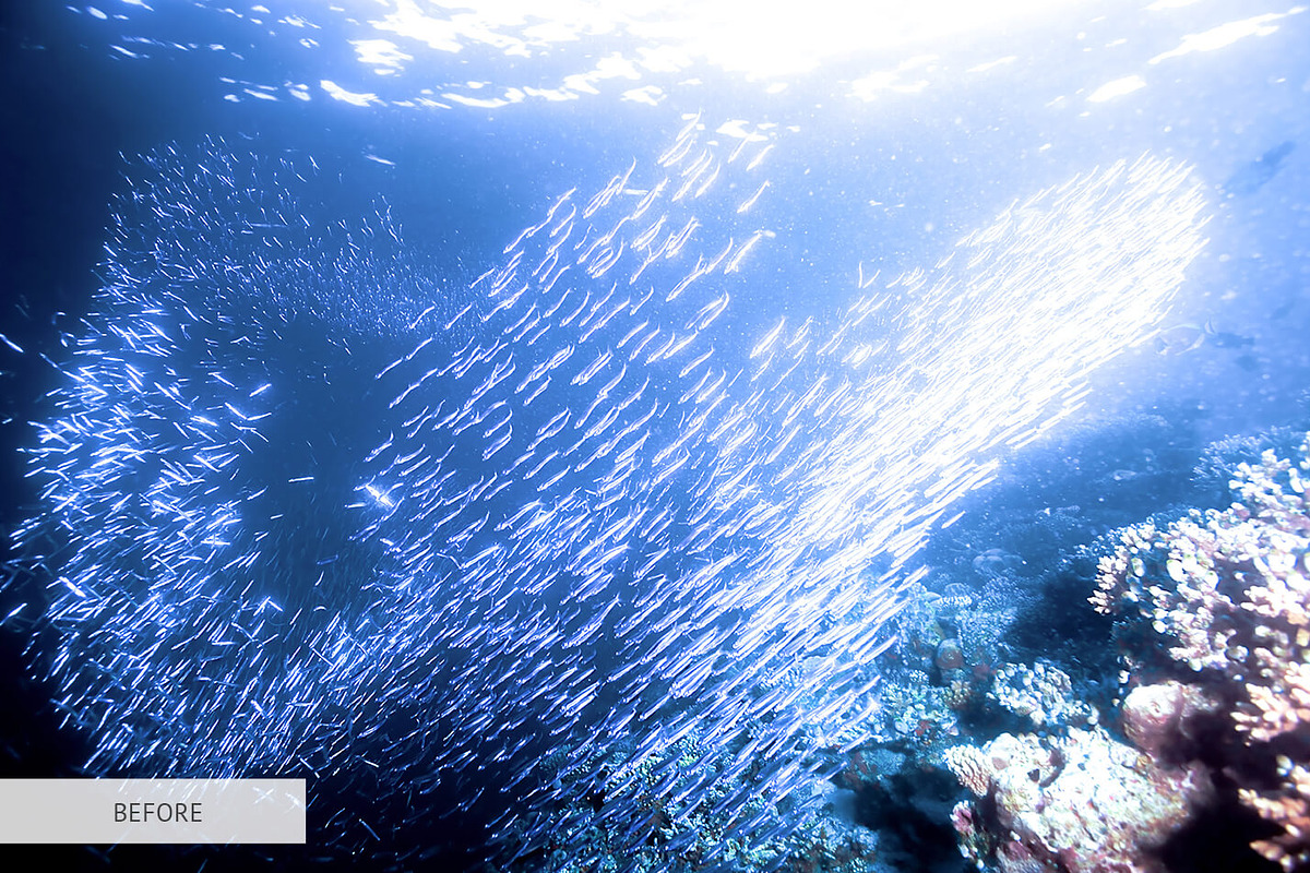 Underwater Photography Presets, a Plug-in Add-On by FixThePhoto (Photo 8 of 32)