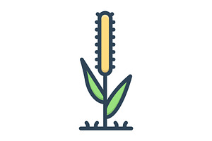 Timothy grass color icon, a Duotone Icon by Creative priyanka