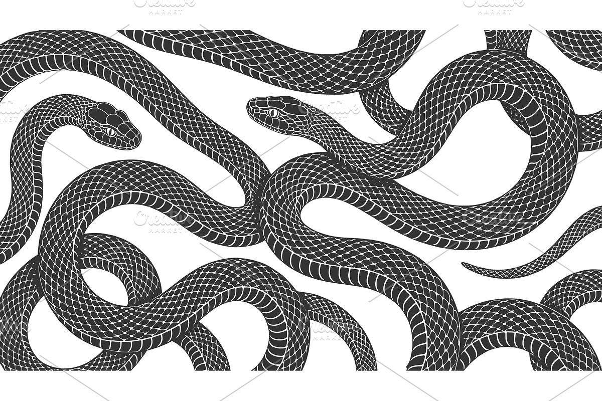 Snake Pattern Detailed Reptile, an Animal Illustration by AlexArt
