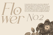 Fluxerist, a Serif Font by Rishsketch (Thumbnail 2 of 13)