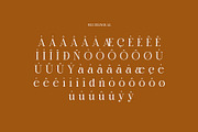 Marlin Modern Elegant Serif, a Serif Font by Alfinart (Thumbnail 11 of 11)