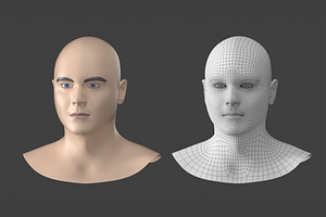 Natural Male Head 02 Generic Mesh