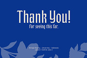 Akshita - Display Font, a Font by Uncarving (Thumbnail 12 of 12)