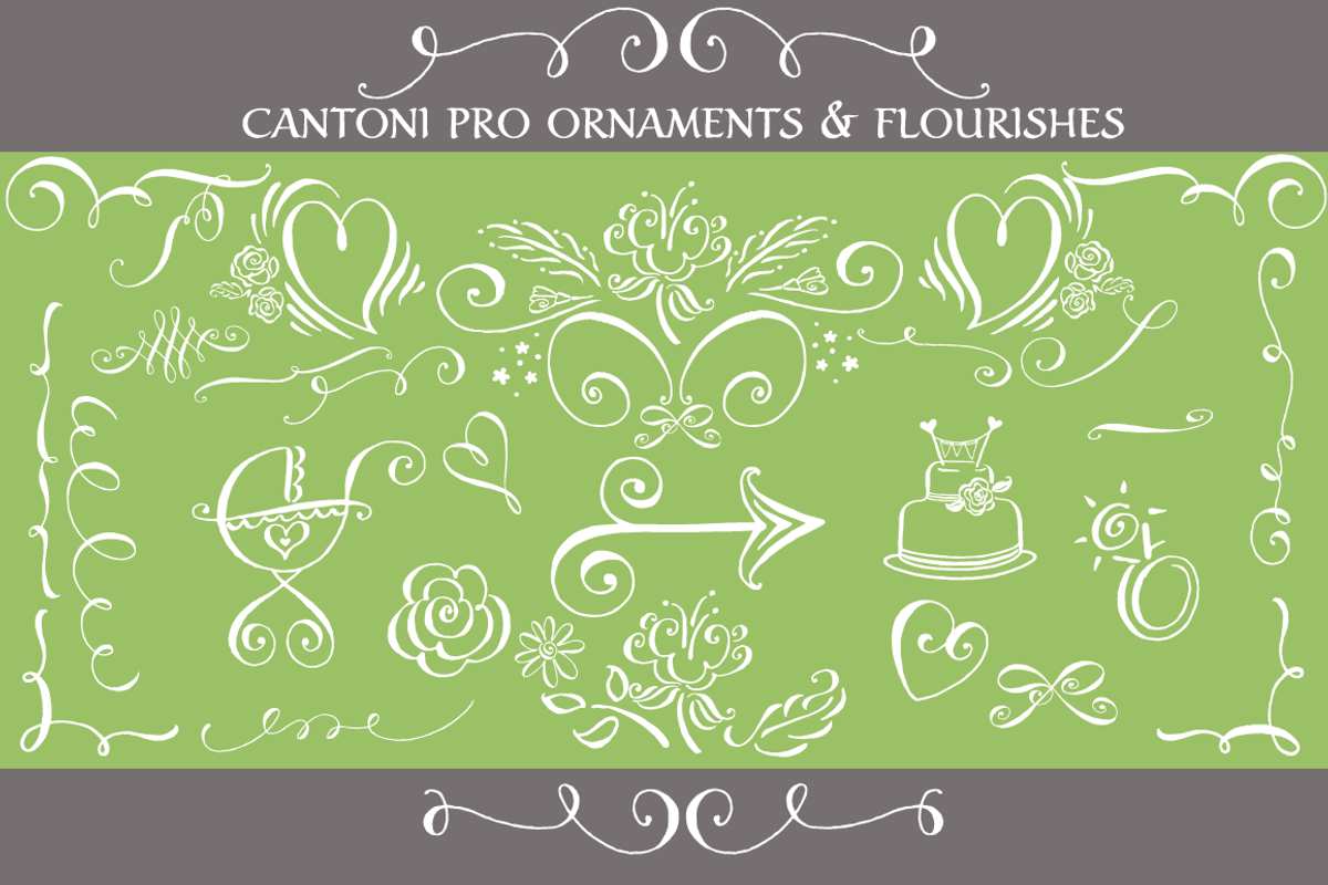 Cantoni Pro Hand Lettered Font, a Script Font by Debi Sementelli (Photo 4 of 4)