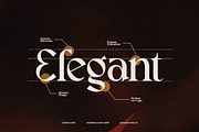 Coralie - Modern Elegant Serif Font, a Serif Font by Flawless And Co (Thumbnail 5 of 10)
