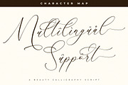Creattons Balleryna A Beauty Script, a Script Font by Storytype Studio (Thumbnail 12 of 15)