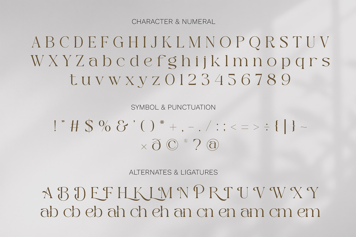 Bergola - Elegant Serif Display Font, a Serif Font by Muflieart (Photo 3 of 10)
