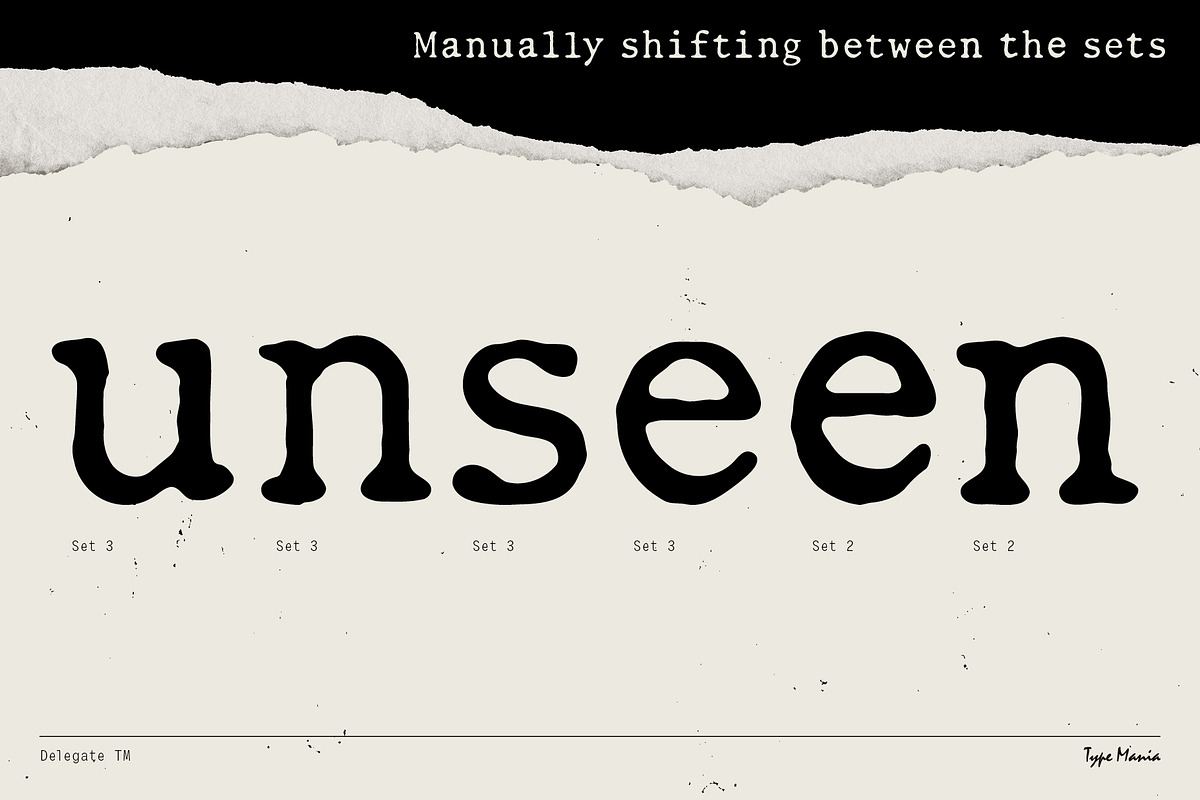 Delegate TM – Dynamic Typewriter, a Serif Font by Type Mania (Photo 6 of 11)