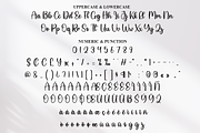 Sensational | Script Font, a Handwritten Font by Scratchones (Thumbnail 7 of 8)