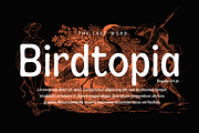 Sroal Modrow - Sans Display Family, a Sans Serif Font by Differentialtype (Thumbnail 9 of 12)