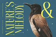 Heroic Brutal Bold Tall Serif, a Serif Font by timelesstype.co (Thumbnail 6 of 20)