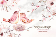 Watercolor spring birds collection, an Animal Illustration by Peace ART (Thumbnail 3 of 12)