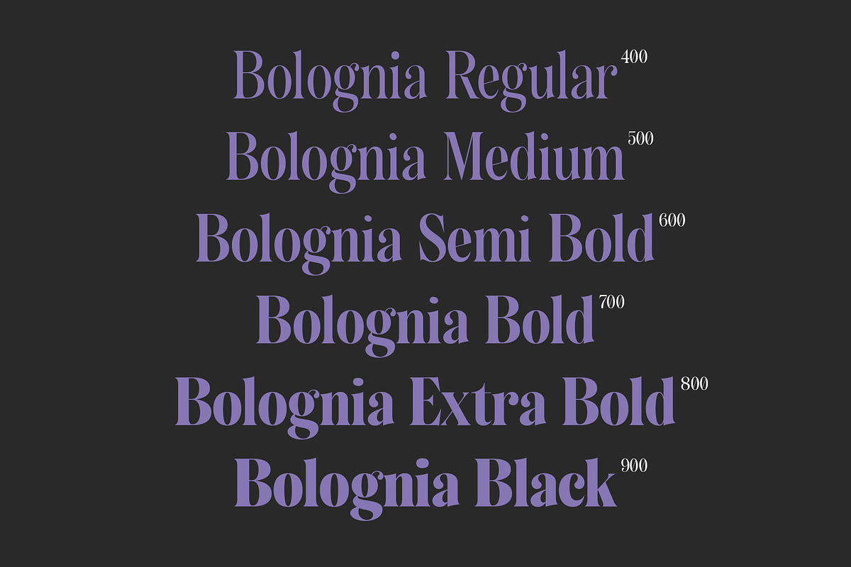 Bolognia - Classic Serif, a Serif Font by Craft Supply Co. (Photo 3 of 8)