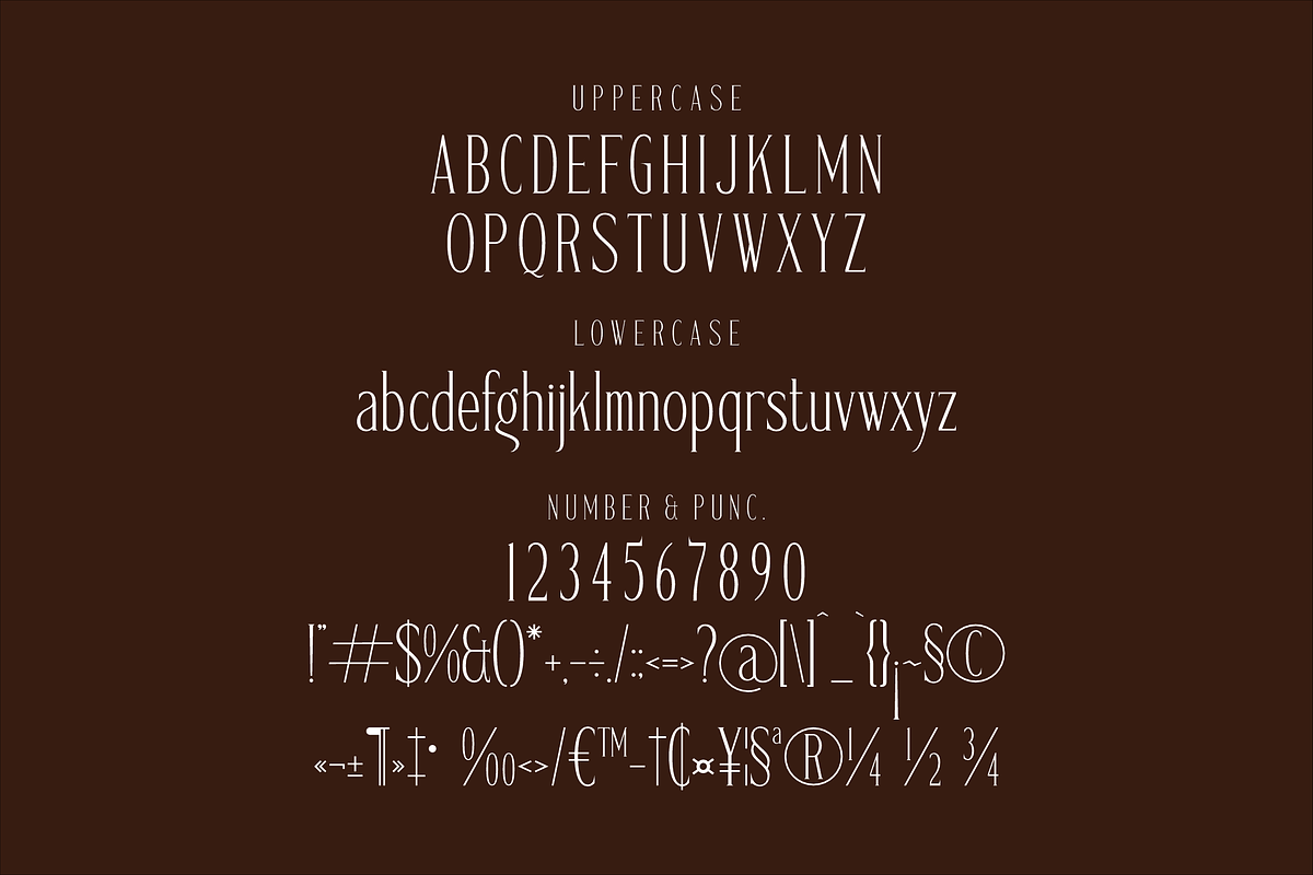 Gadnesh Meteora A Modern Serif, a Serif Font by Storytype Studio (Photo 13 of 15)