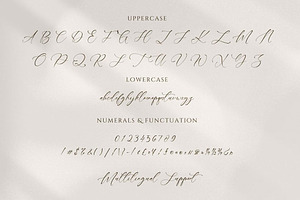 Anastasya Handwritten Signature Font