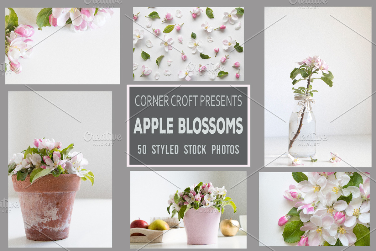 Apple Blossom Styled Photo Bundle, a Cups & Container Mockup by Corner Croft Mockups (Photo 2 of 5)
