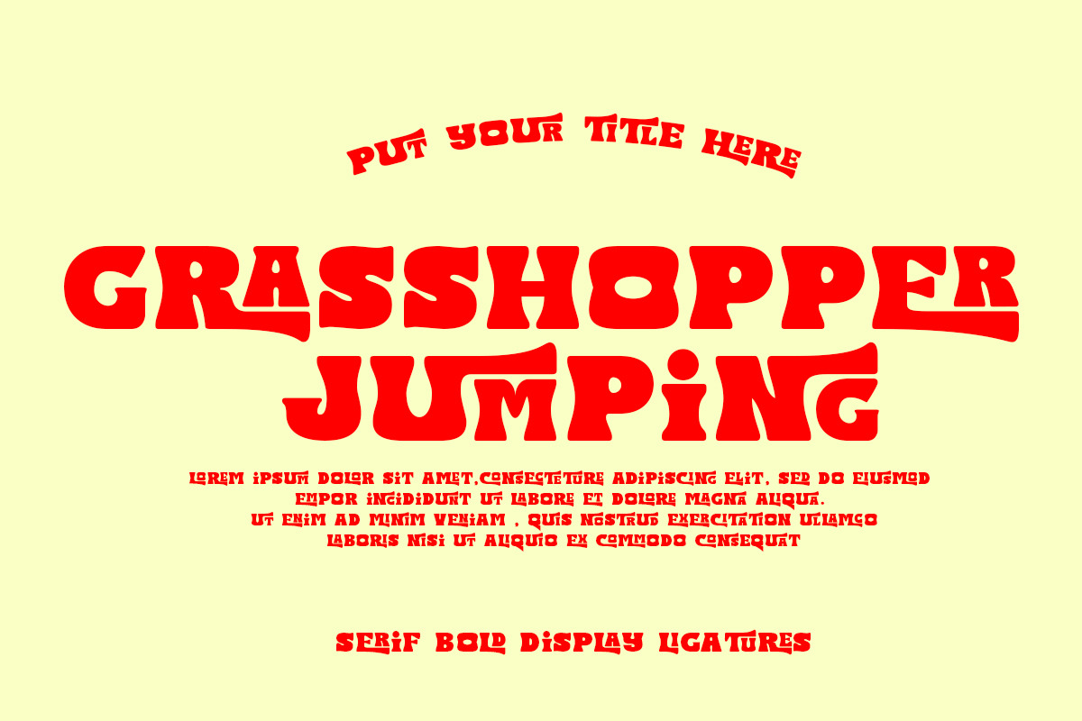 Trick Echo, a Serif Font by Bramcreative (Photo 2 of 8)