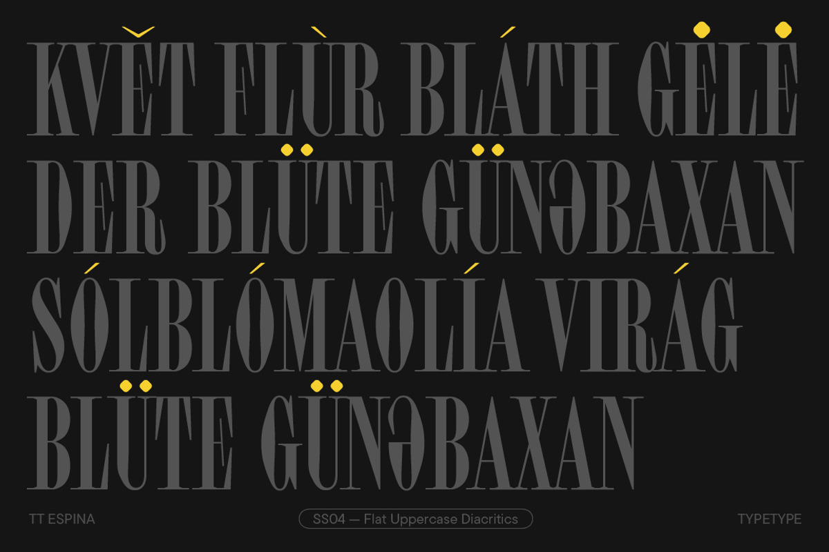 TT Espina, a Serif Font by TypeType (Photo 9 of 15)