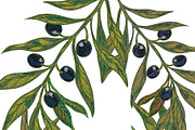 Mediterranean olive branch set, a Pattern Graphic by NayaChu (Thumbnail 9 of 11)