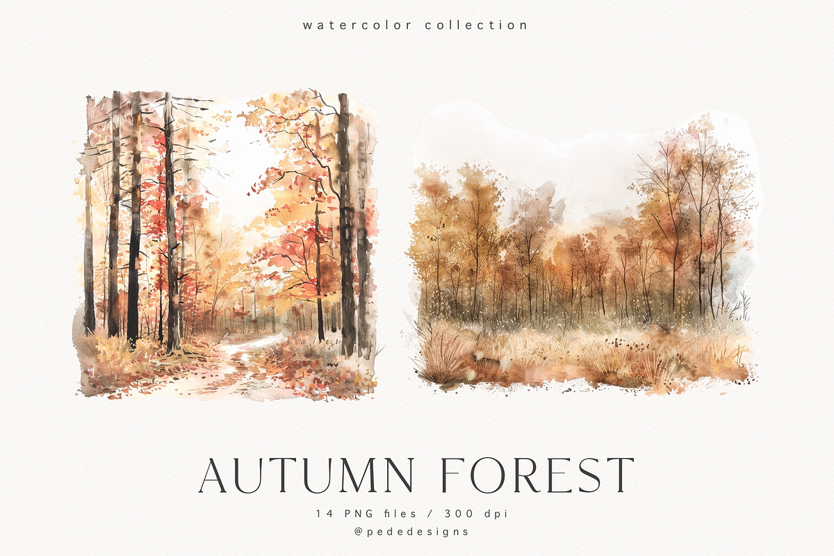 Autumn Forest, a Seasonal Illustration by PeDe Designs (Photo 5 of 7)
