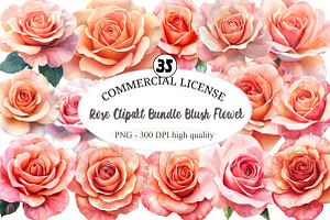 Rose Clipart Bundle Blush Flower, an Illustration by designcity5