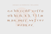 Thanjidor - Elegant Serif Typeface, a Serif Font by overlaytemplates (Thumbnail 4 of 5)