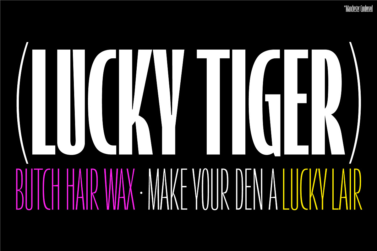 Manchester Condensed Variable, a Sans Serif Font by Vastago Studio (Photo 8 of 17)