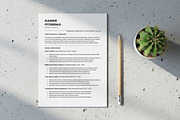 Teacher Resume for Science Teacher, a Resume Template by SmmrDesign (Thumbnail 2 of 8)