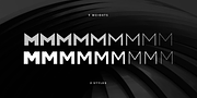 Neometric, a Sans Serif Font by TypeUnion (Thumbnail 8 of 14)