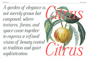 Schriftolia — Elegant Serif Italic, a Serif Font by Invasi Studio (Thumbnail 3 of 12)