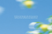 Blurred Summer: 136 Backgrounds, a Background Graphic by Veyla (Thumbnail 14 of 15)