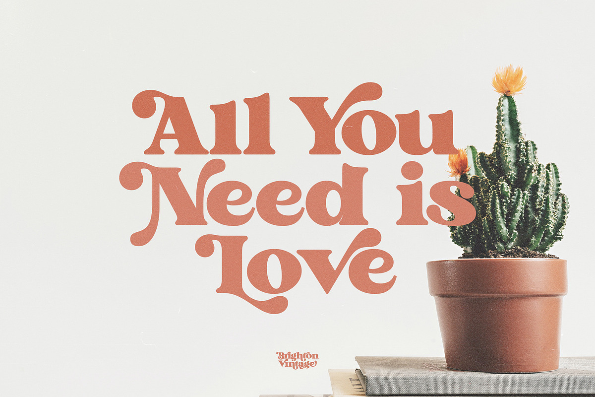 Brighton Vintage - Modern Serif Font, a Serif Font by dealitastudio (Photo 2 of 10)