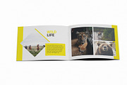 Lensa Photography - A5 Brochure, a Brochure Template by Incools Stokie (Thumbnail 7 of 13)