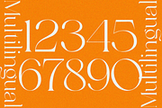 Meckora, a Serif Font by zaaintype (Thumbnail 10 of 10)