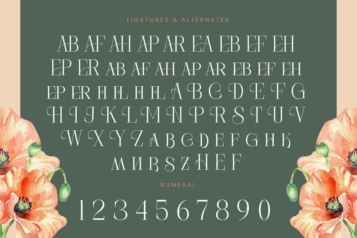 Barely Painter Elegant Serif Font, a Serif Font by timelesstype.co (Photo 19 of 20)