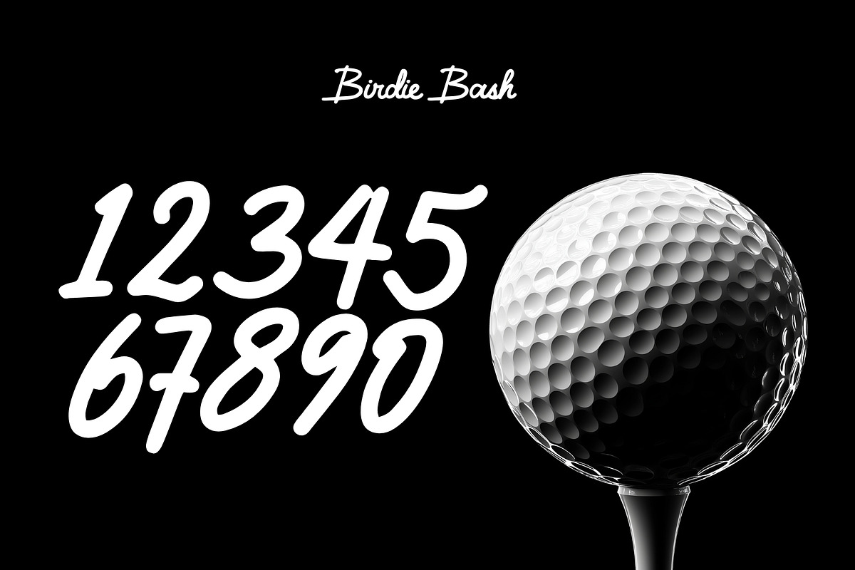 Birdie Bash - Script Golf Typeface, a Script Font by HipFonts (Photo 9 of 9)